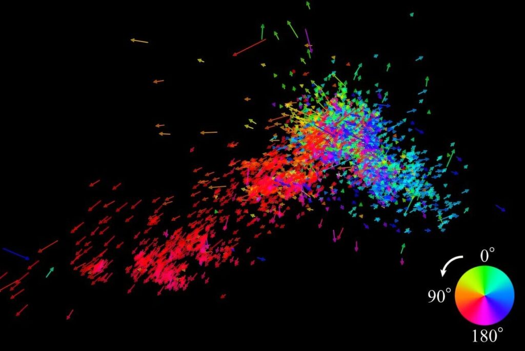 Our closest neighboring galaxy may be being torn apart
