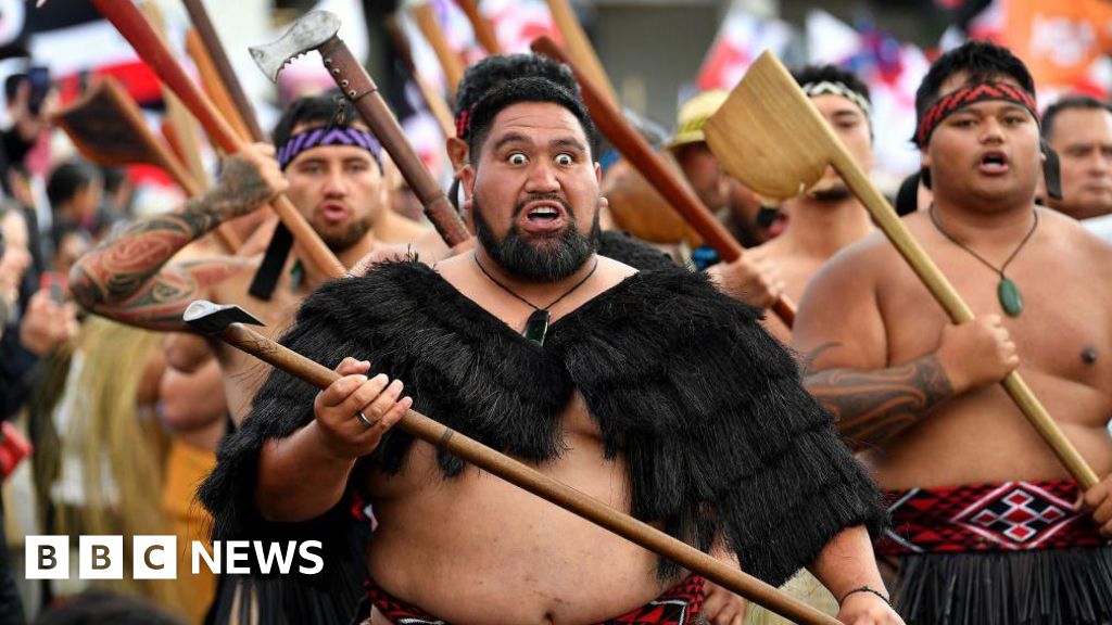 Treaty Principles Bill voted down after widespread outrage