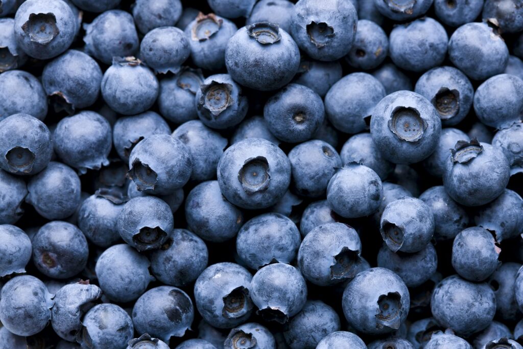 The growing Republic of Georgia 's blueberry sector