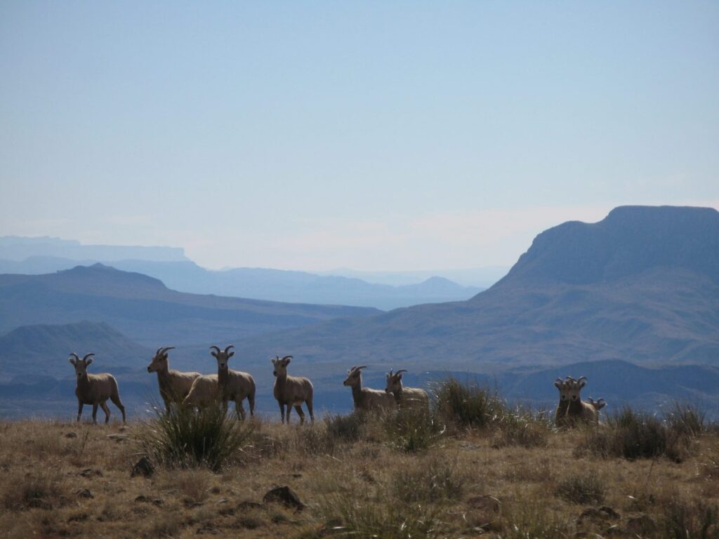 Opinion: What you can do to protect our natural beauty
