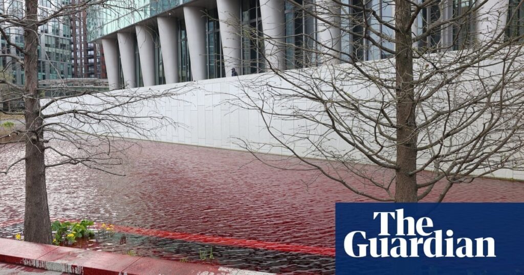 Greenpeace UK co-head arrested for pouring red dye into US embassy pond
