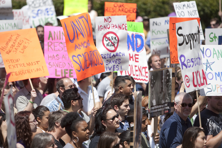Los Angeles, CA UCLA protest