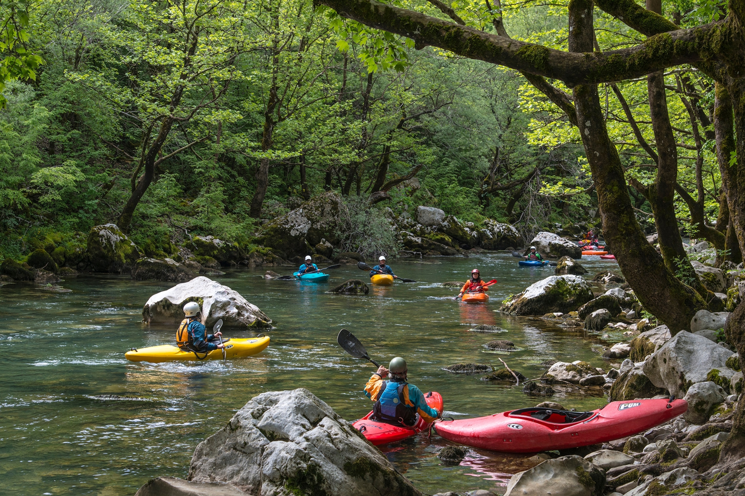 A group of white-water rafters on a river surrounded by a forest.