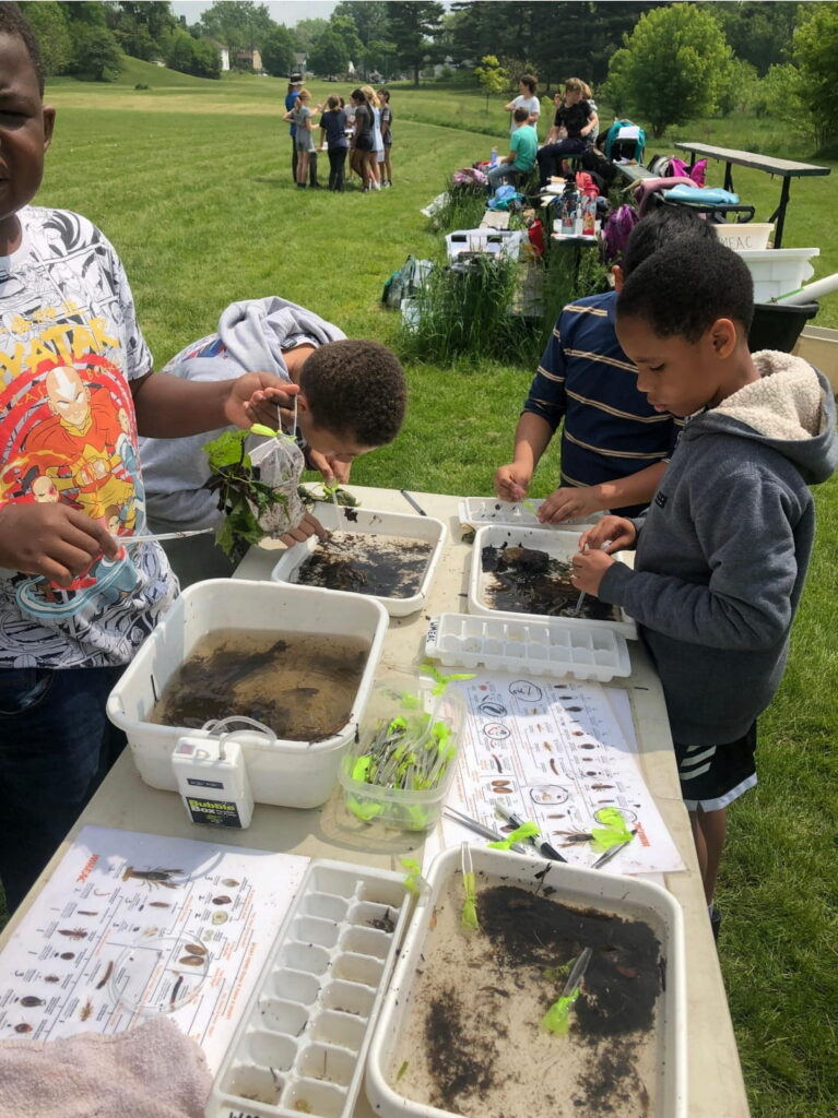 EGLE announces 2025 Environmental Service Award winners