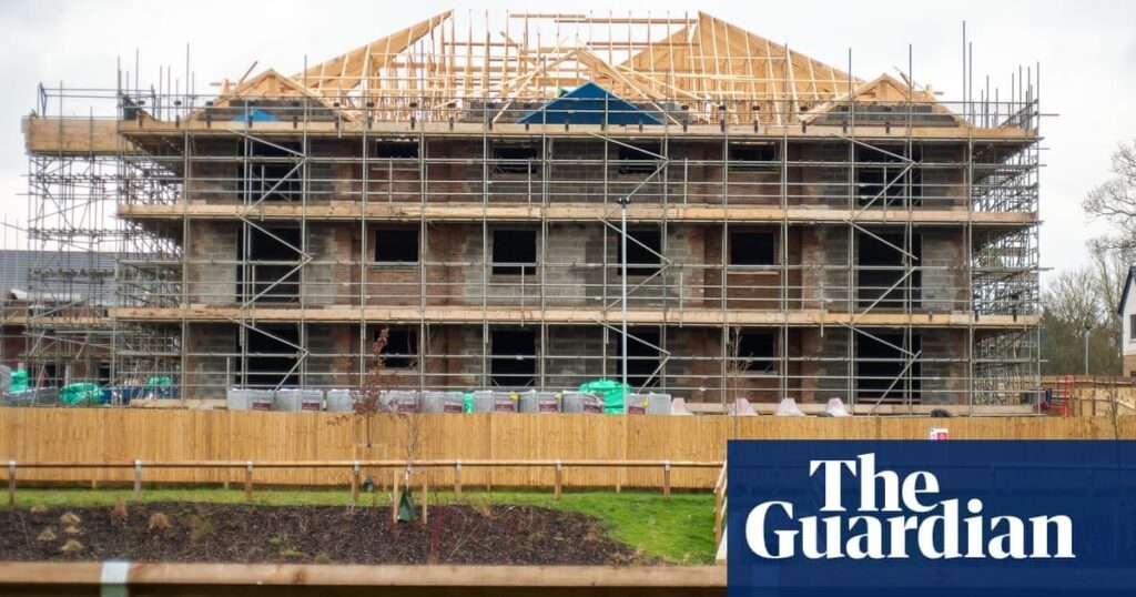 UK housebuilders ‘very bad’ at building houses, says wildlife charity CEO