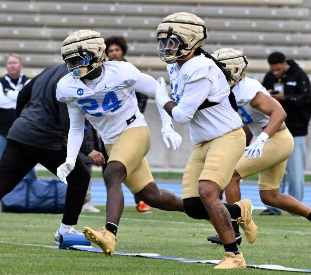 LaRue Zamorano #24 of the UCLA Bruins during UCLA football...