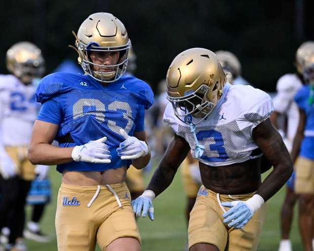Wide receiver Russell Weir #83 of the UCLA Bruins with...