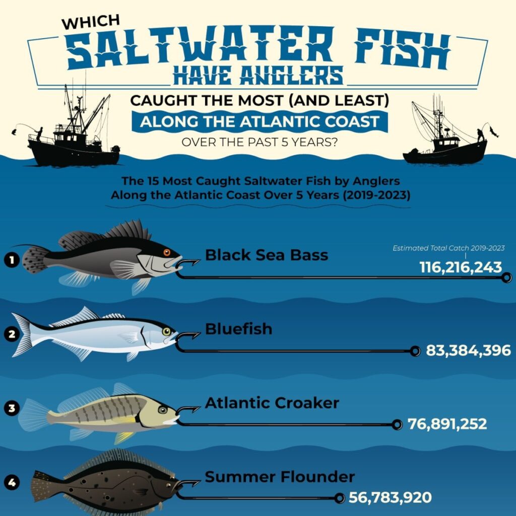 Which Saltwater Fish Have Anglers Caught the Most (and Least) Along the Atlantic Coast Over the Past 5 Years?