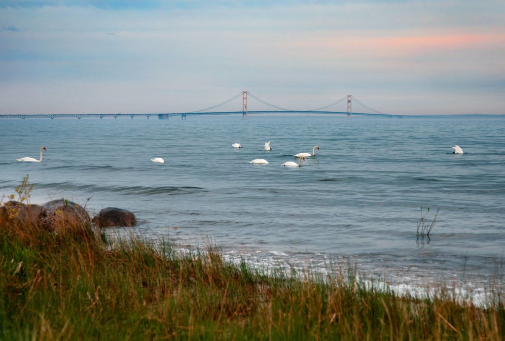 Environmental groups slam fast-tracking of Line 5 pipeline