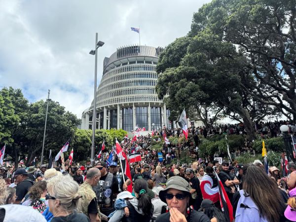 New Zealand parliament votes down controversial indigenous bill
