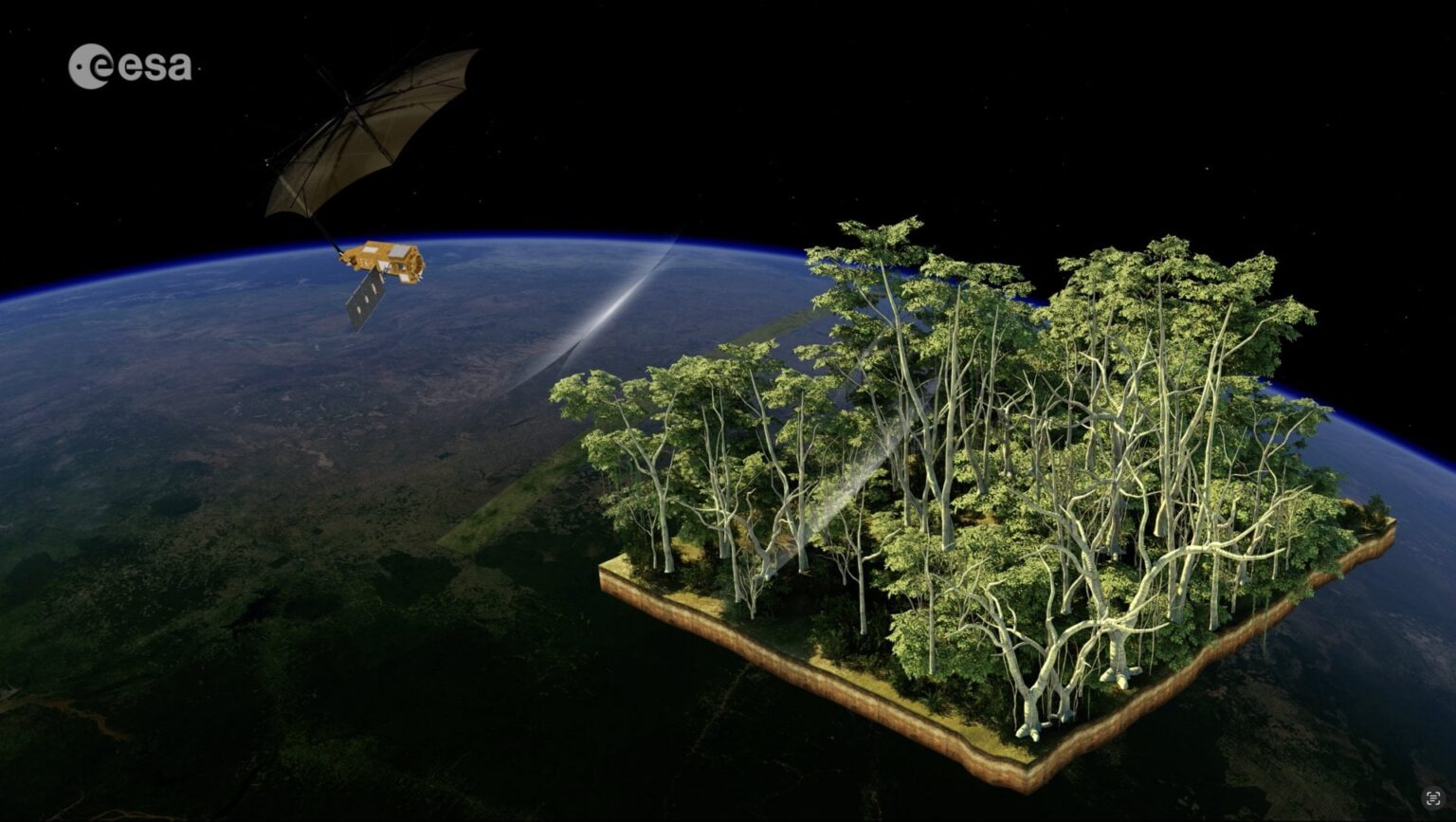 ESA's Biomass - Lifting the canopy on Earth’s forests