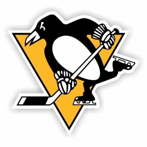 Pens rally from 2-0 deficit | News, Sports, Jobs