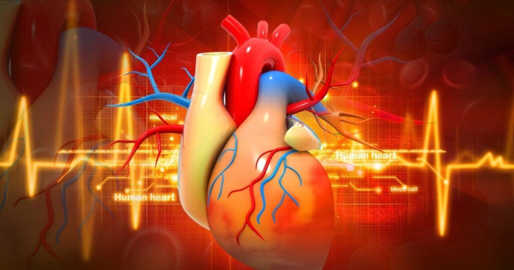 World's first "nonstop beating heart" transplant is a medical breakthrough