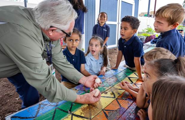 Kindergartners listen to gardening and nutrition teacher Mark Wagner, who is holding fresh eggs from the school's chickens that were hatched this morning. The school won an award for being a Green Achiever school for their eco-friendly initiatives. (Charlie Neuman / For The San Diego Union-Tribune)