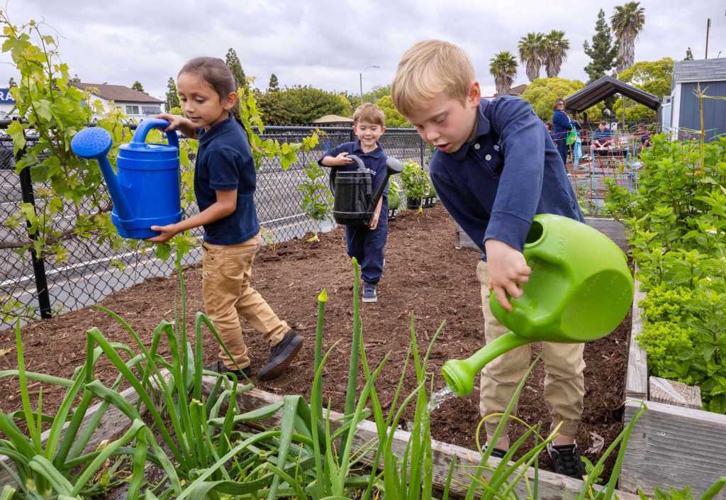 At school, these kids garden, compost and learn to save energy. The state just took notice. – San Diego Union-Tribune