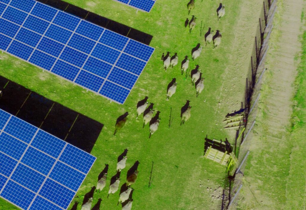 Construction starts on New Zealand’s 280 GWh agrivoltaic project – pv magazine India