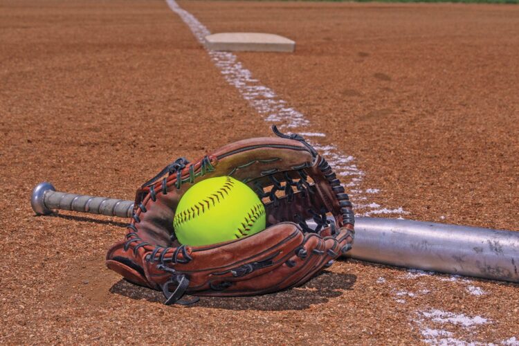 Mitchell pitches Lady Panthers to victory over TM | News, Sports, Jobs