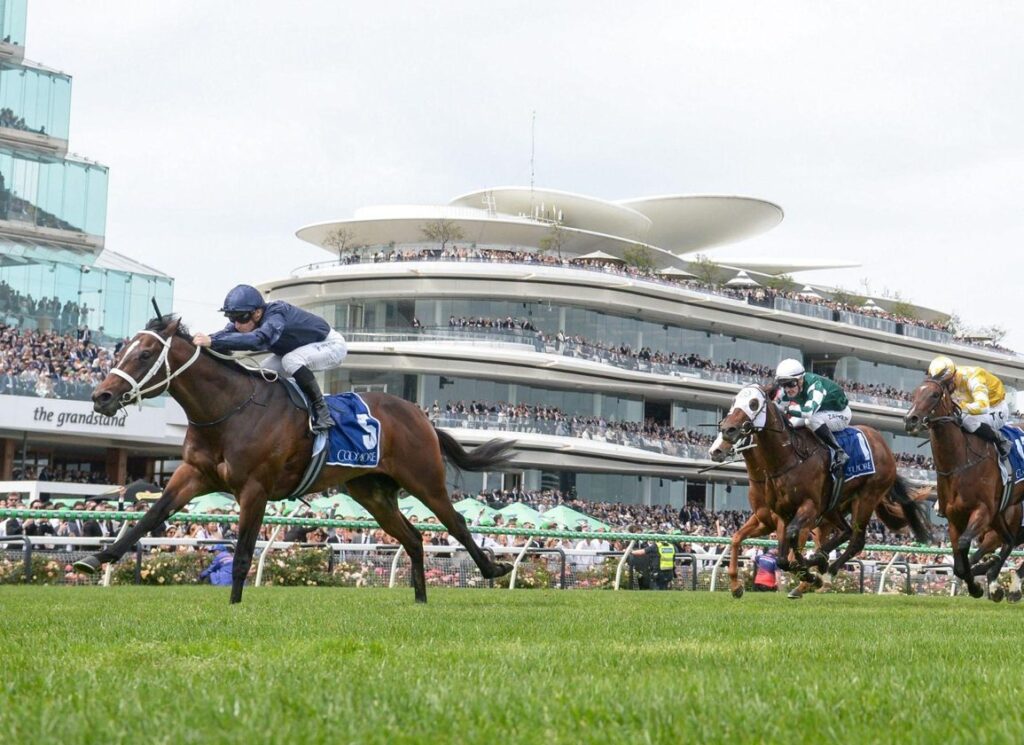 'Stunning' Switzerland To Stand For A$60.5k At Coolmore Australia