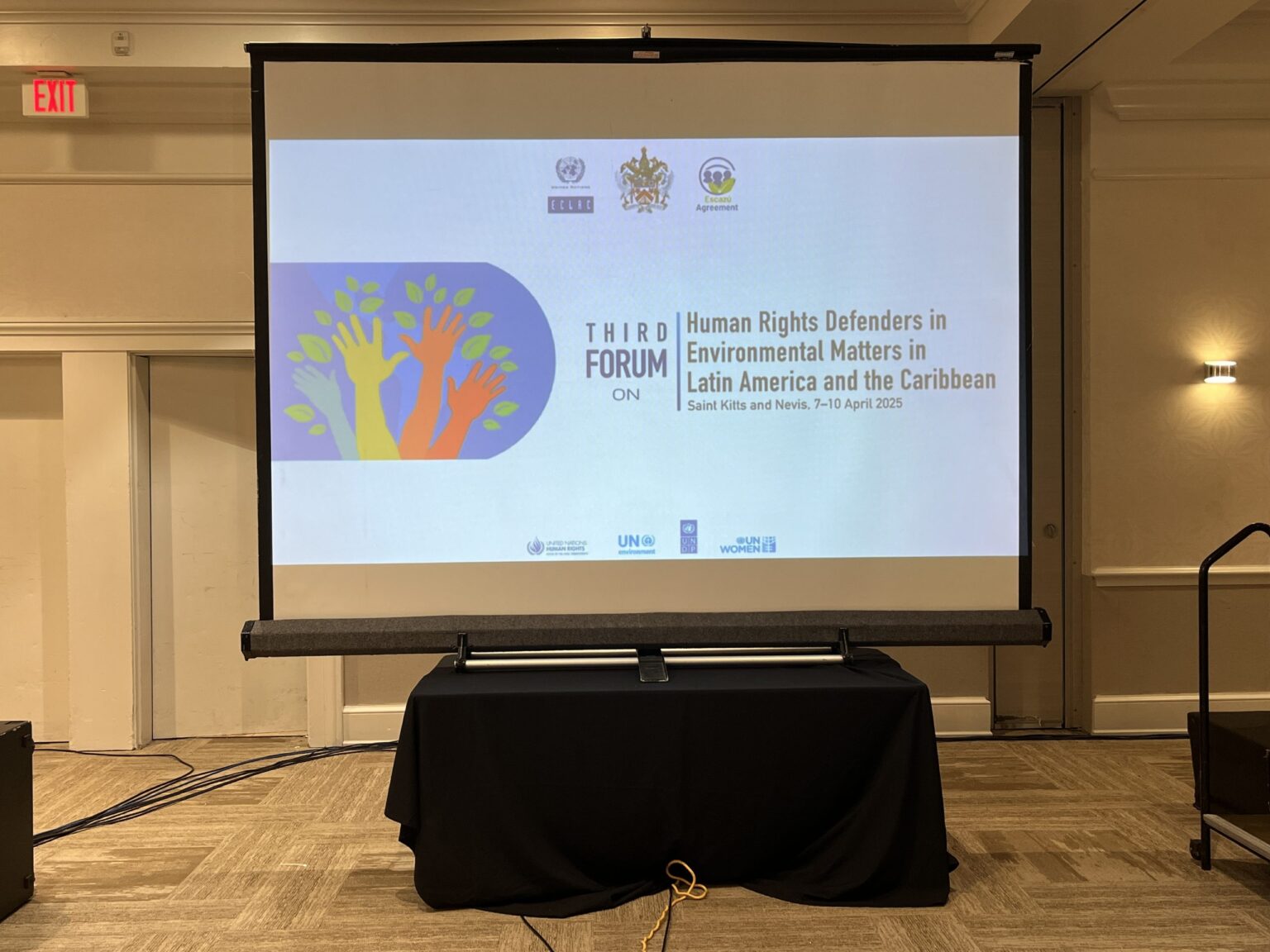 Better protection and participation of environmental defenders through the Escazu Agreement