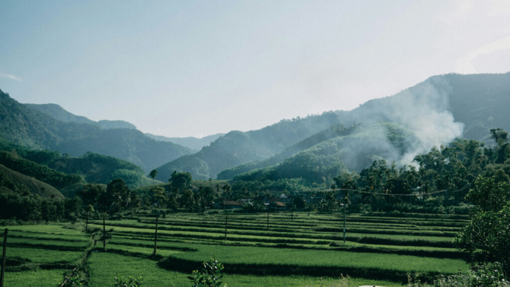 Essay: Fifty years later, Vietnam’s environment still bears the scars of war – and signals a dark future for Gaza and Ukraine