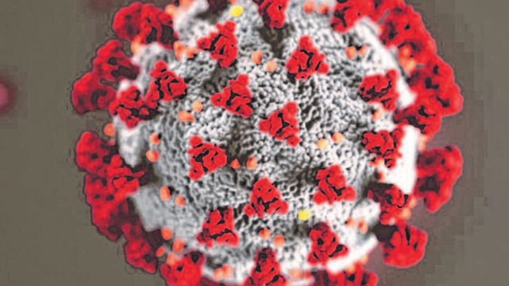 New Zealand has two new Covid-19 cases and one more death
