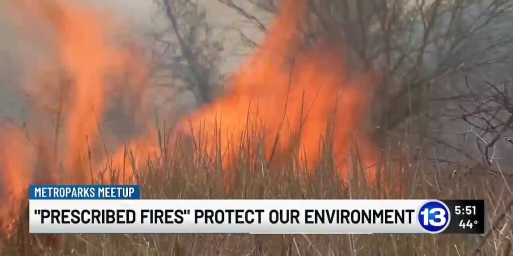 Prescribed fire protect the environment