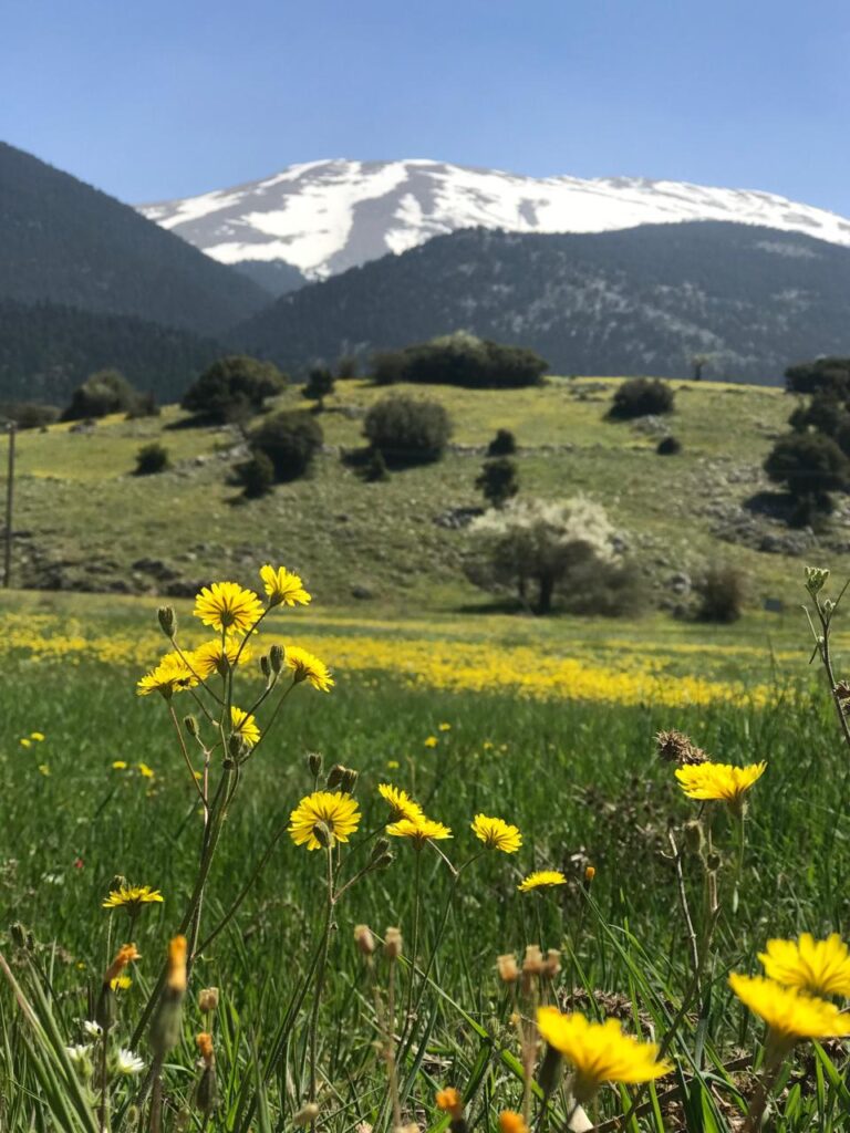 Quintessential Spring Weather Expected in Greece on Wednesday Quintessential Spring Weather Expected in Greece on Wednesday