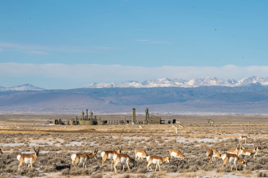 Trump dumps Biden environmental review for 3,244 oil and gas leases