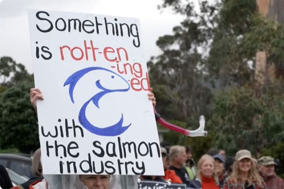 As election approaches, environment still being shunned by both parties