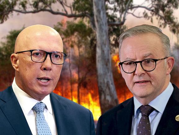 Environment the big loser in this year's Federal Election