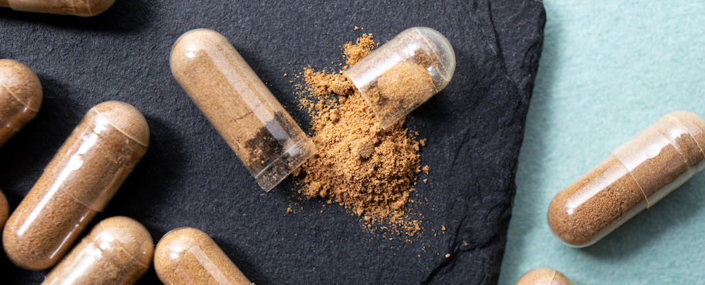 This Ancient Herb Is Trending For Health Benefits, But Beware The Risks : ScienceAlert