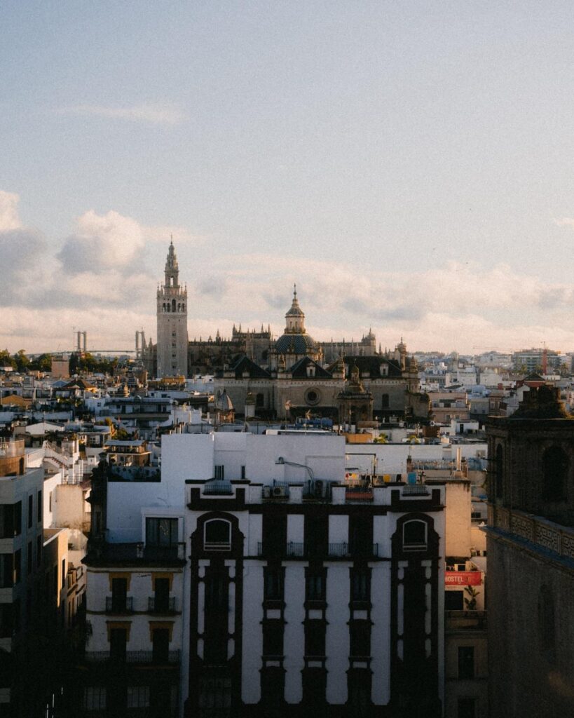 Seville mushrooms