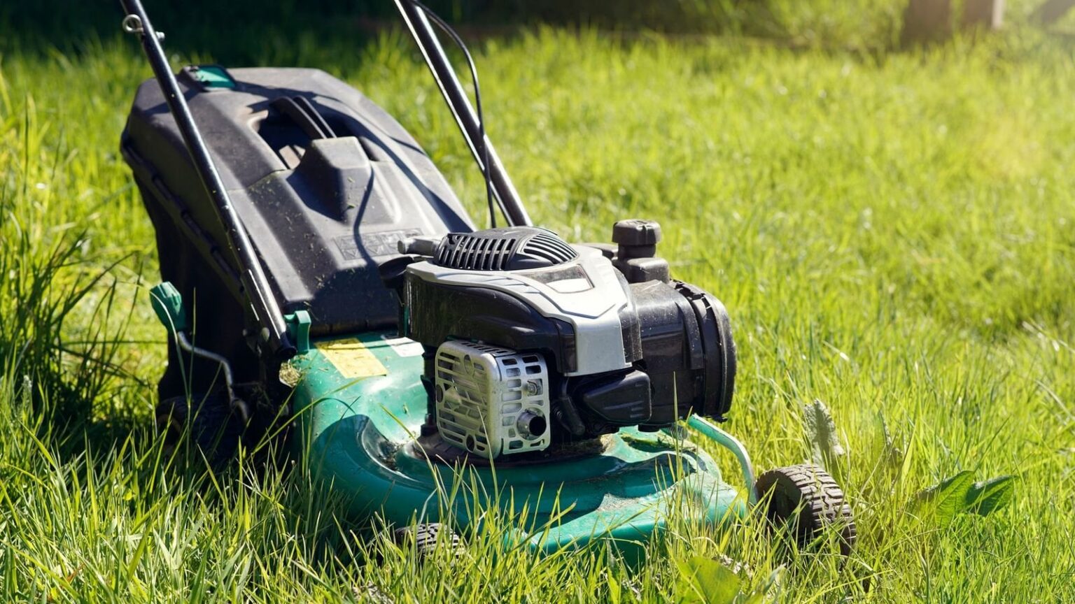 Britons urged to stop mowing lawns to boost butterfly numbers  'in long-term decline'