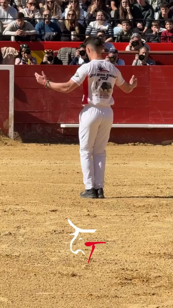 The bull almost starts the butt