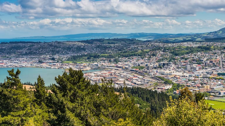 Dunedin seen from the peak of Signal Hill (file image).