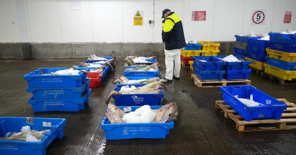 UK rejects EU plan to tie defense pact to fishing quotas