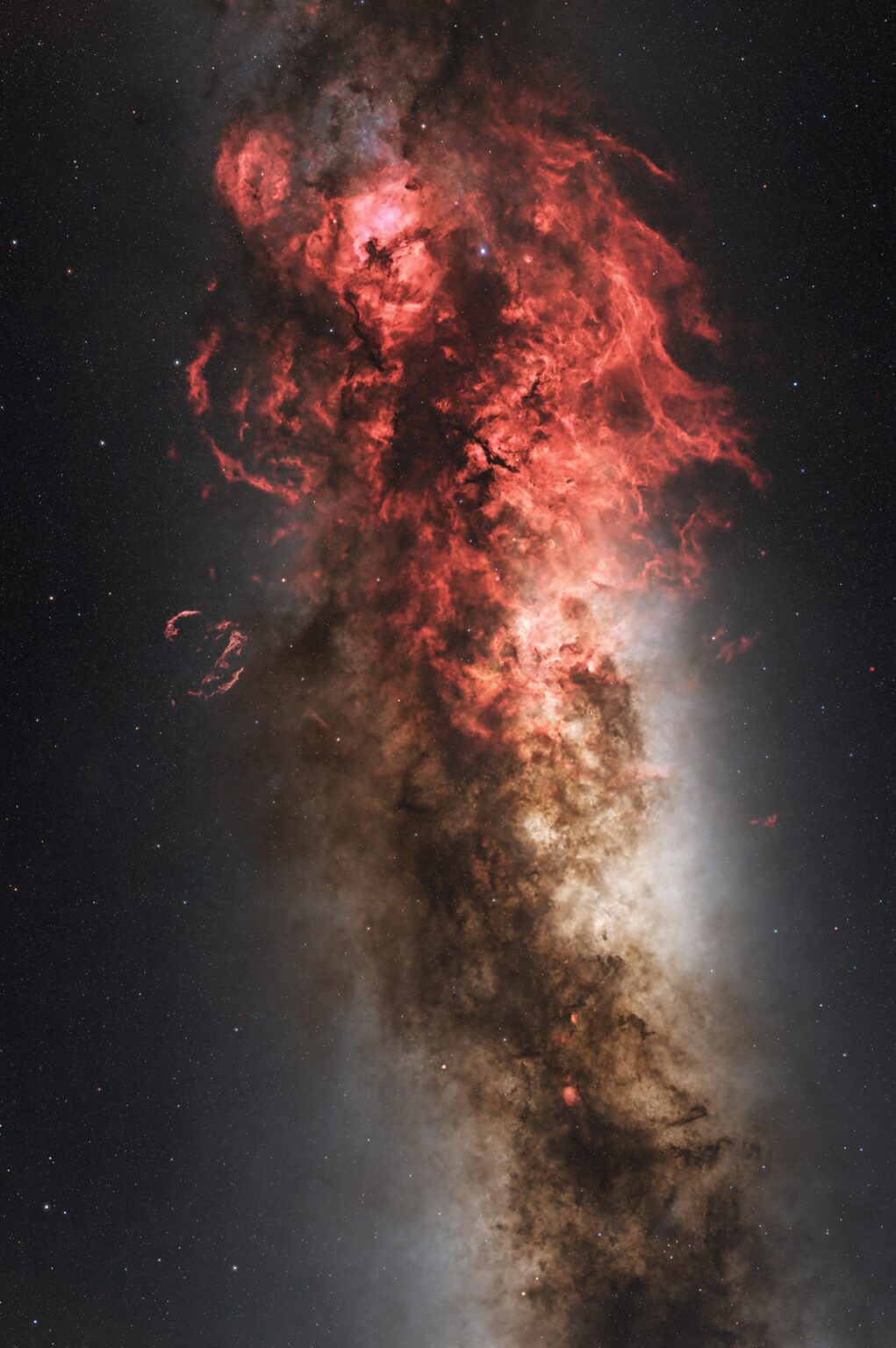 The Ignited Cygnus [OC]