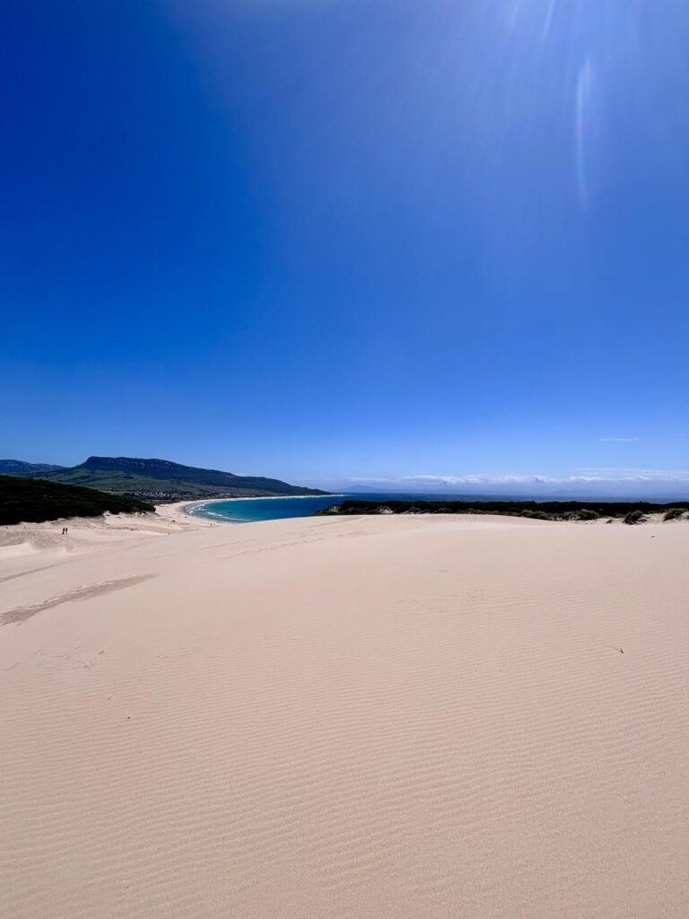 Bologna and Baelo Claudia beach 🥰