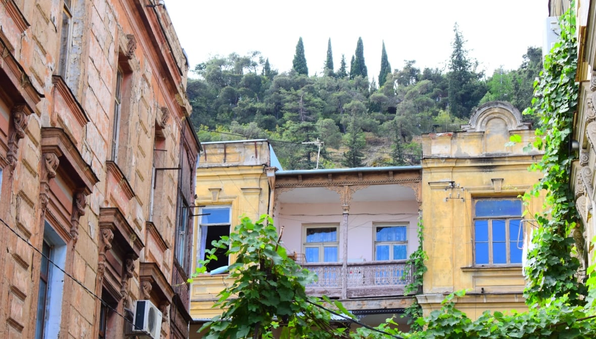 Old buildings and leafy greens