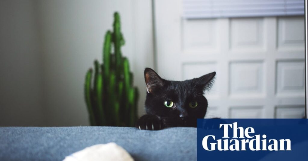 'Completely disproportionate': UK tenants feel the bite of ‘pet rent’