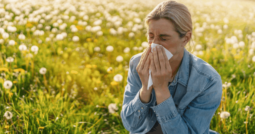 Researchers set up new devices to accurately measure pollen in the Netherlands Researchers set up new devices to accurately measure pollen in the Netherlands