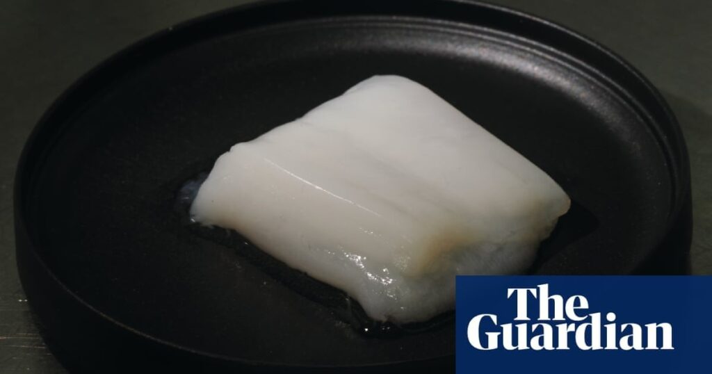 Lab-grown chicken ‘nuggets’ hailed as ‘transformative step’ for cultured meat. Japanese-led team grow 11g chunk of chicken – and say product could be on market in five- to 10 years.