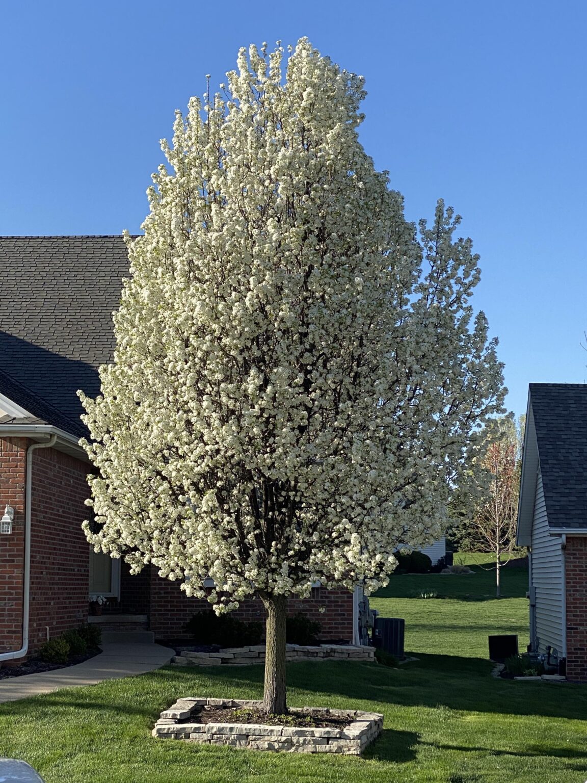 The smell of mid -April