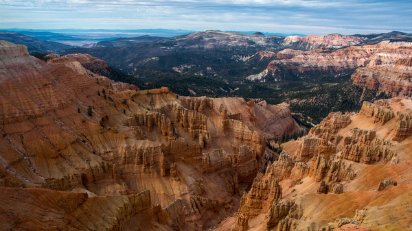 Public Lands for Sale?, Environmental Nonprofit “Watchdogs,” and More