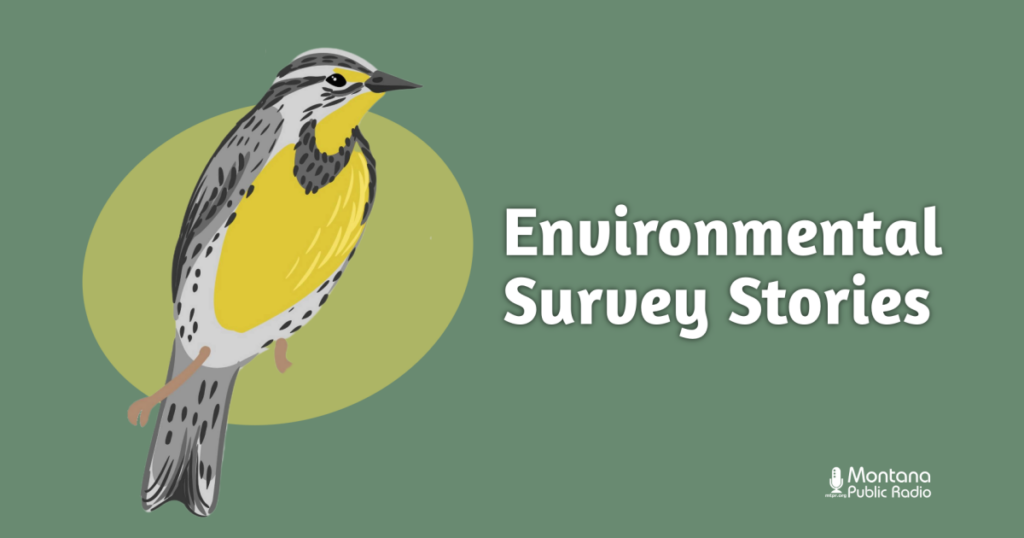 We asked you what environmental news you want more of. Here's what you said