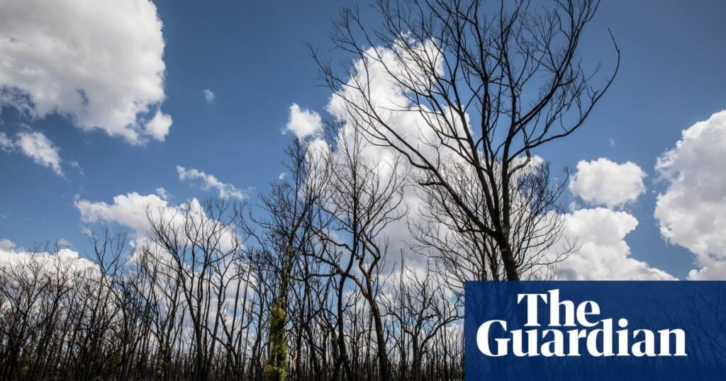 Average person will be 40% poorer if world warms by 4C, new research shows | Experts say previous economic models underestimated impact of global heating – as well as likely ‘cascading supply chain disruptions’