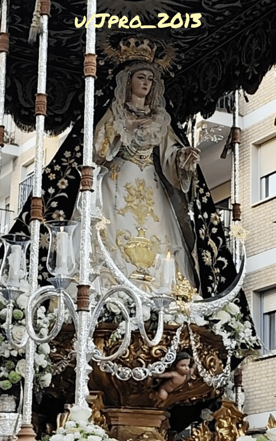 📸 Photos of the Antequera chick 🇪🇸