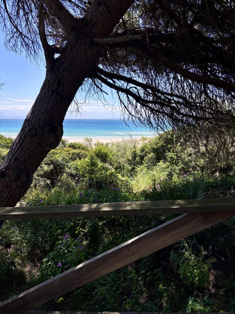 BOLONIA, Cadiz Province 😍 BOLONIA, Cadiz Province 😍