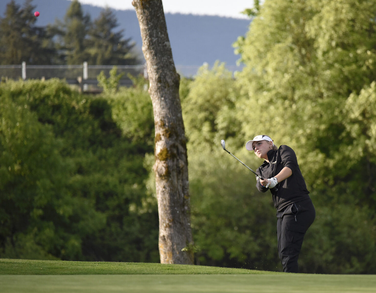 Sports roundup: Inaugural boys, girls golf seasons end at districts