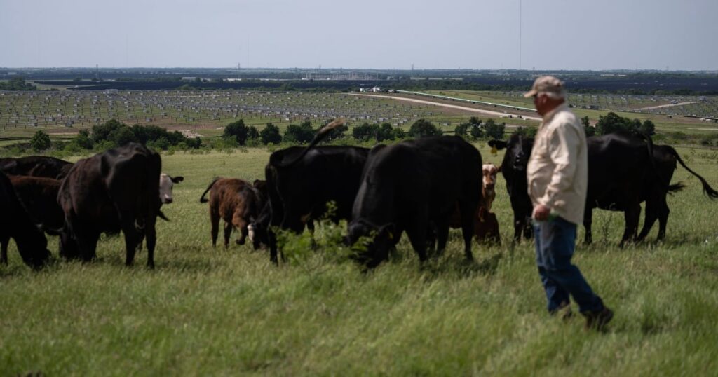 Texas farmer says renewable energy needs oversight